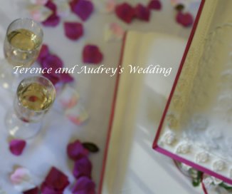 Terence and Audrey's Wedding book cover