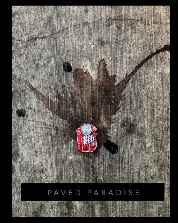 View Paved Paradise by Malinda M Julien Cr Photog CPP