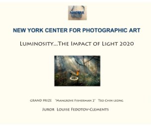 Luminosity---The Impact of Light book cover