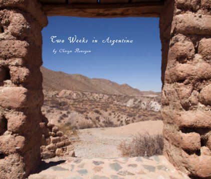Two Weeks in Argentina book cover