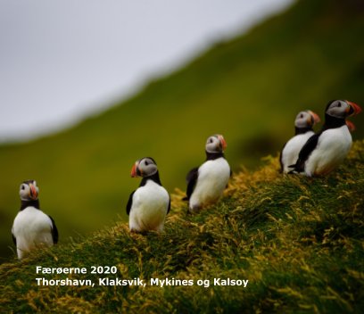 Faroe Island book cover