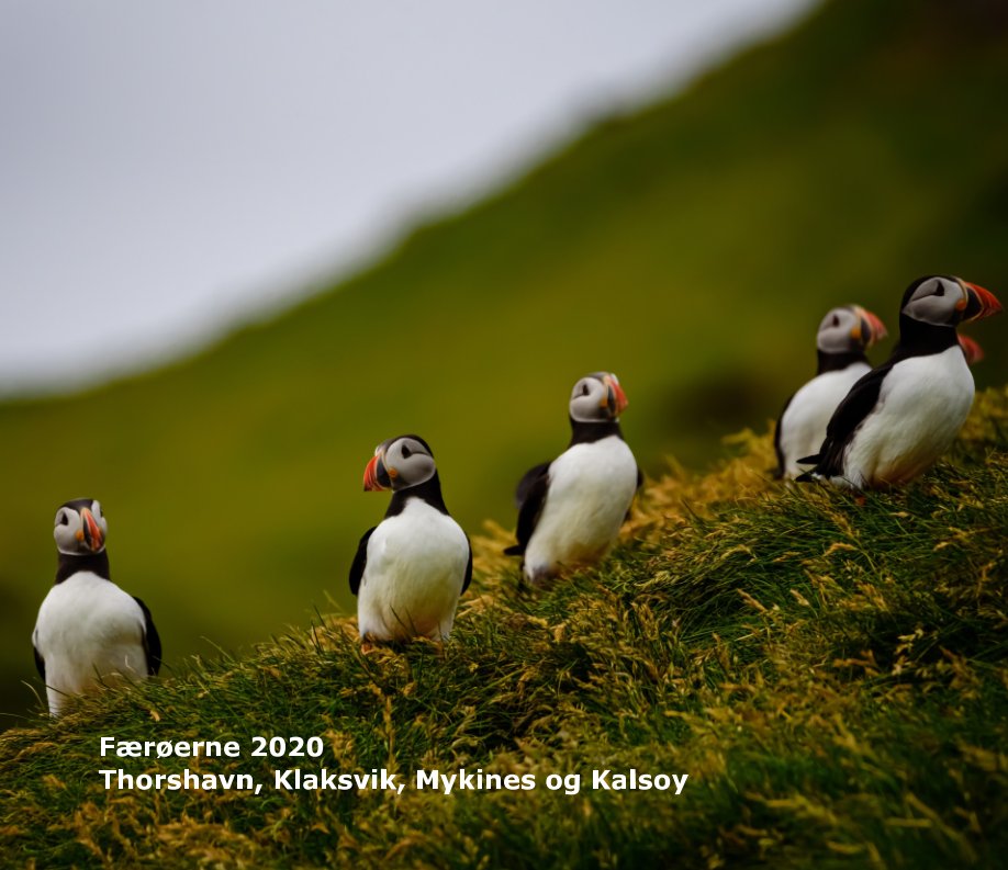 Ver Faroe Island por Erik Jacobsen