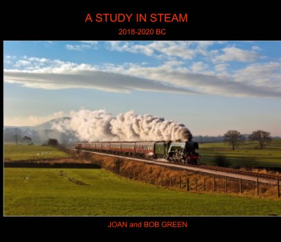 A study in steam book cover