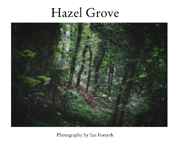 View Hazel Grove by Ian Forsyth