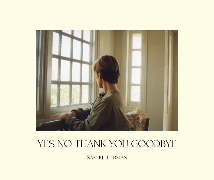 View Yes No Thank You Goodbye by Sam Klegerman