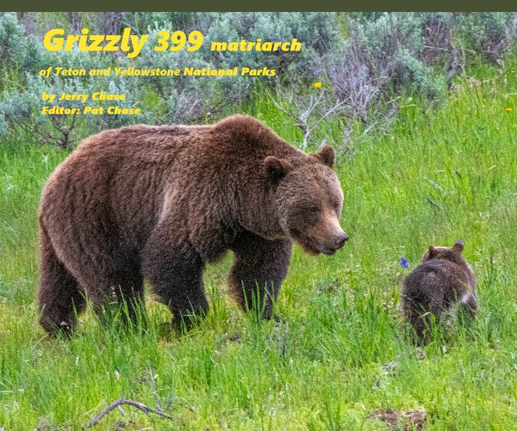 View Grizzly 399 by Jerry Chase  Pat Chase