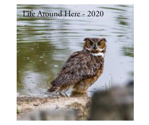 Life Around Here 2020 book cover