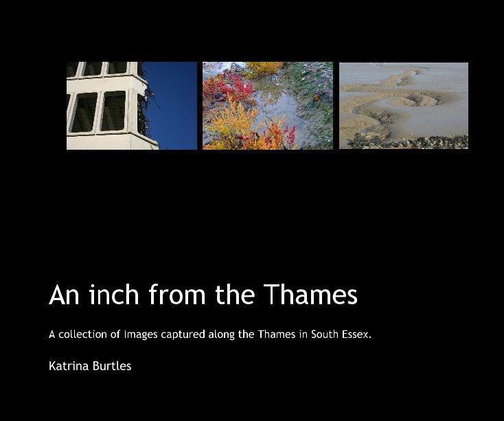 View An inch from the Thames by Katrina Burtles
