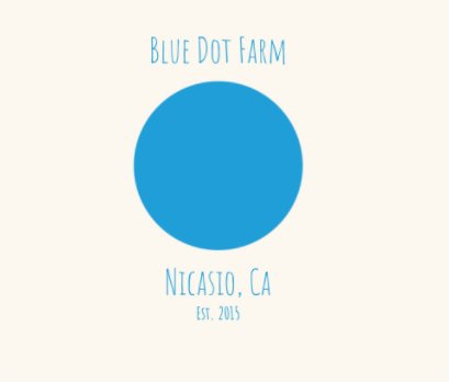 Blue Dot Barn book cover