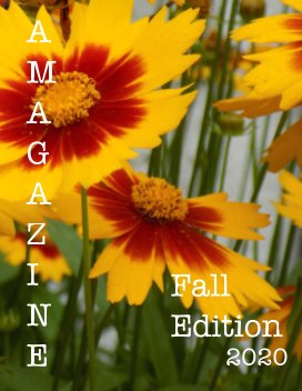 AMagazine Fall Edition 2020 book cover