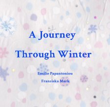 A Journey Through Winter book cover