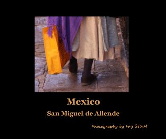 Mexico book cover