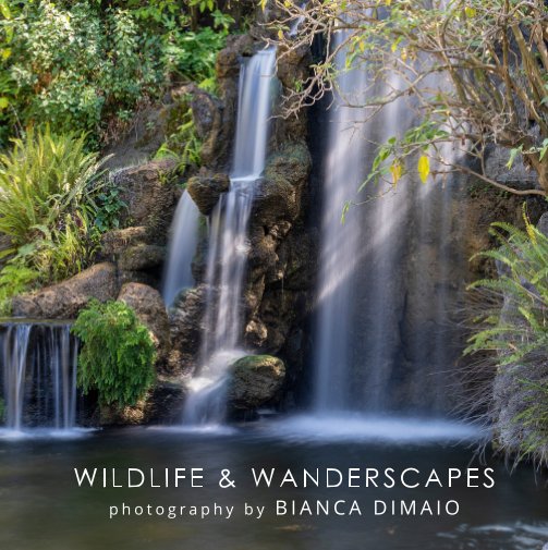 Visualizza Wildlife And Wanderscapes di Bianca DiMaio