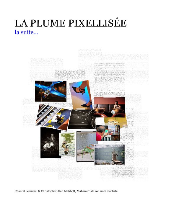 Visualizza La Plume Pixellisée (la suite) di Chantal Seanchaí