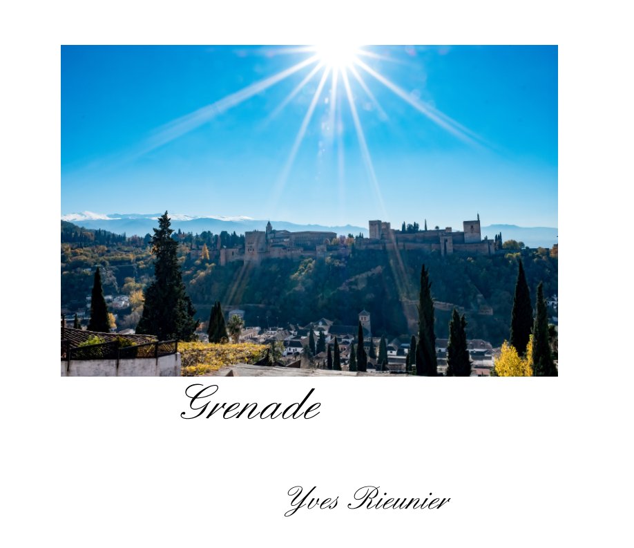 View Grenade by Yves Rieunier