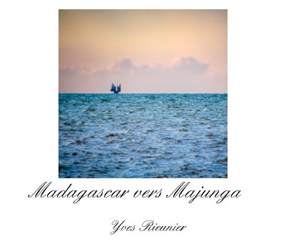 Madagascar  2 book cover