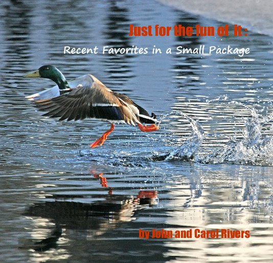Ver Just for the fun of it : Recent Favorites in a Small Package by John and Carol Rivers por John and Carol Rivers