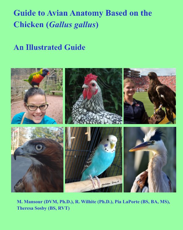 Bekijk Guide to Avian Anatomy Based on the Chicken (Gallus gallus) op Mansour Wilhite LaPorte Sosby
