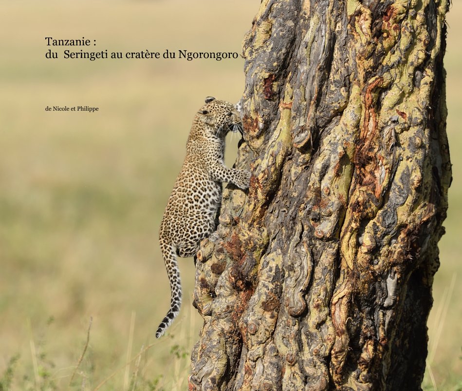 View Tanzanie : du Seringeti au cratère du Ngorongoro by de Nicole et Philippe