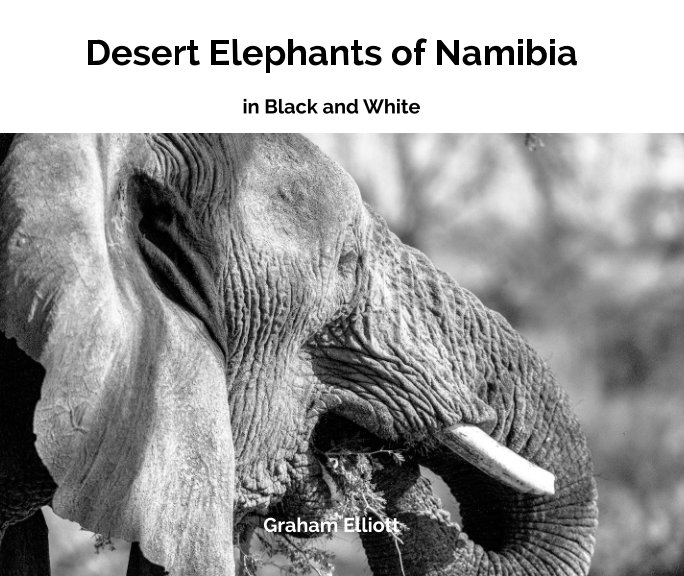 View Desert Elephants of Namibia by Graham Elliott
