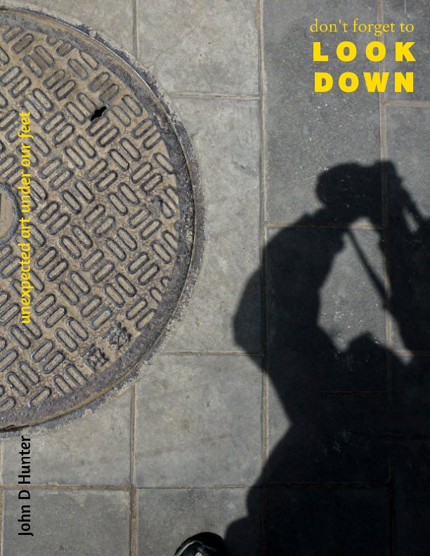 Visualizza Don't Forget to Look Down di John D Hunter