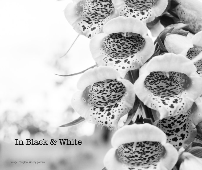View In Black and White by Diane Schuller