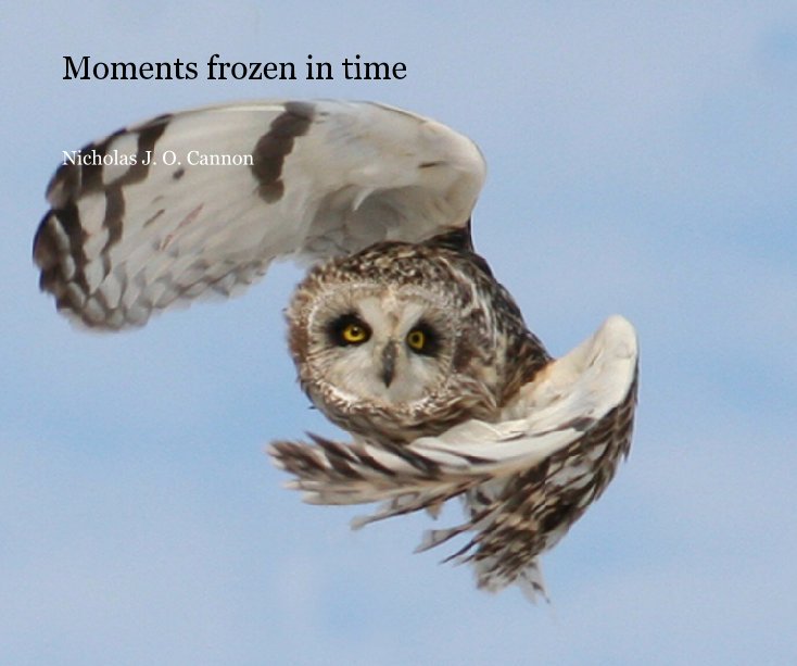View Moments frozen in time by Nicholas J. O. Cannon