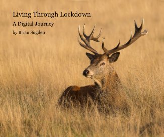 Living Through Lockdown book cover