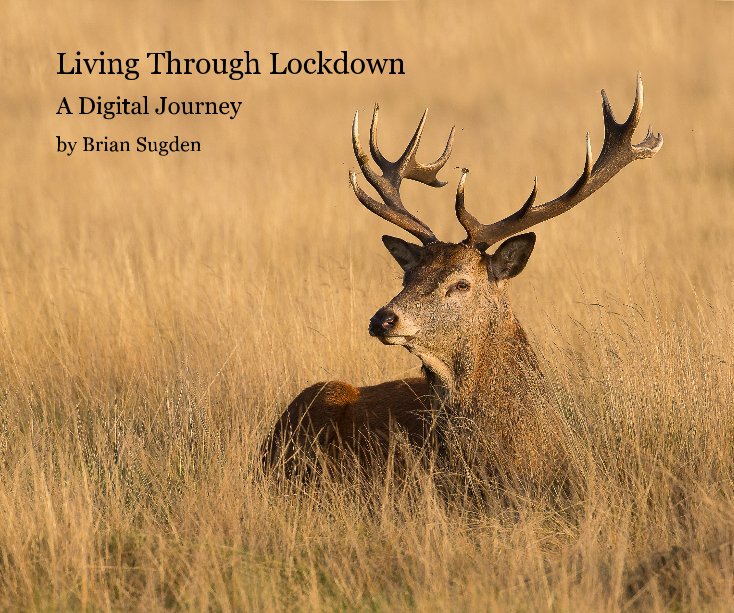 View Living Through Lockdown by Brian Sugden
