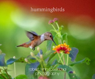 hummingbirds book cover