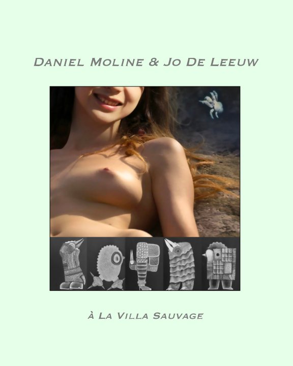 View Voyage en terre d'Ombre Brûlée by Daniel Moline de Saint-Yon