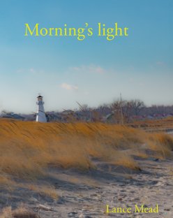 Morning's Light book cover