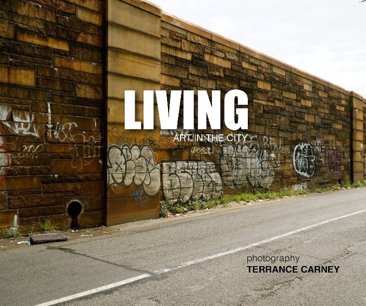 View Living: Art in the City by Terrance Carney