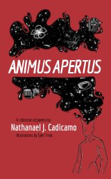 Animus Apertus book cover