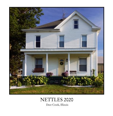 Nettles 2020 book cover