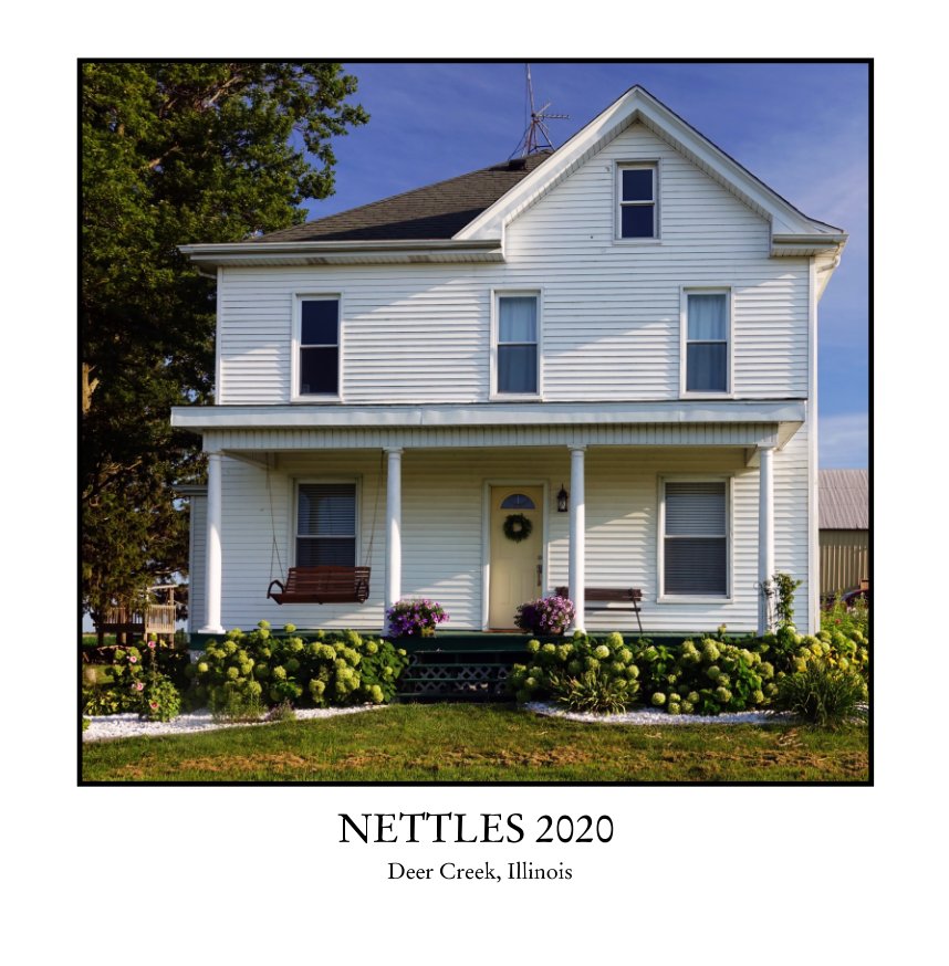 View Nettles 2020 by CURT ROBERTS