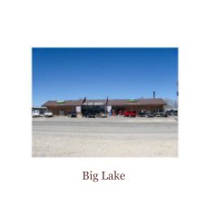 Big Lake book cover