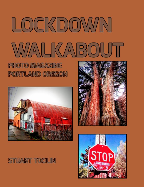 Visualizza Lockdown Walkabout di Stuart Toolin