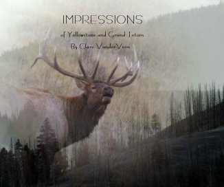IMPRESSIONS of  Yellowstone ... book cover