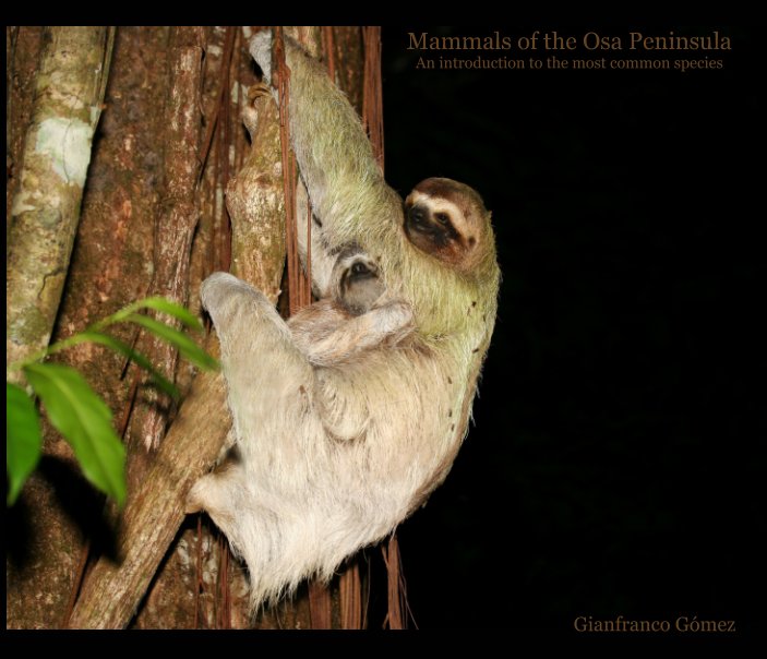 View Mammals of the Osa Peninsula by Gianfranco Gómez