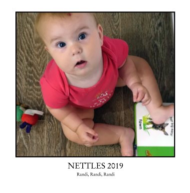 Nettles 2019 book cover