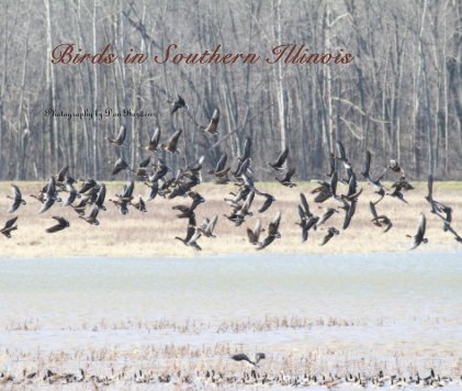 Birds in Southern Illinois book cover