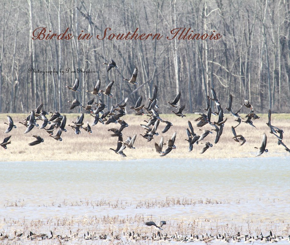 Birds in Southern Illinois nach Photography by Don Barden anzeigen