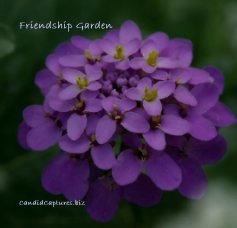 Friendship Garden book cover
