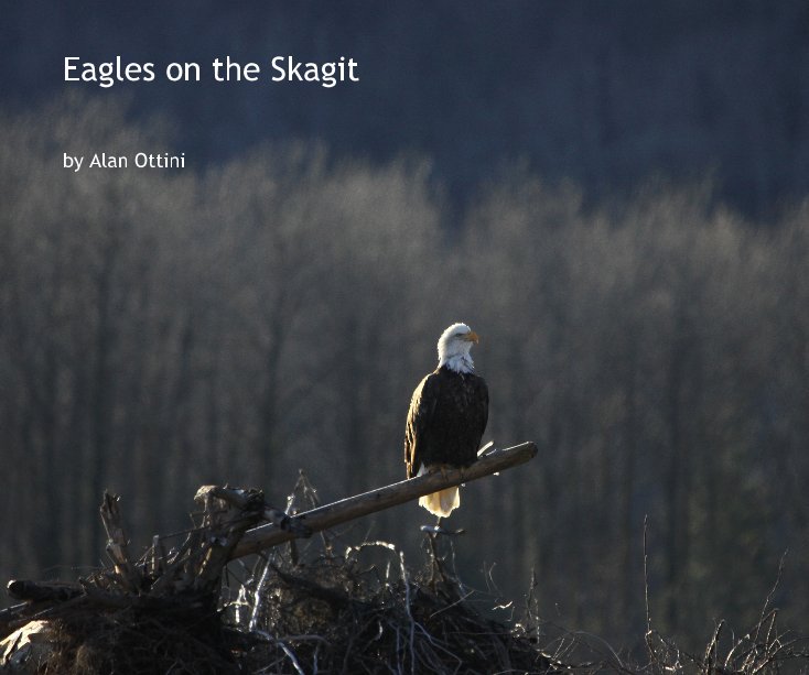 Eagles on the Skagit nach Alan Ottini anzeigen