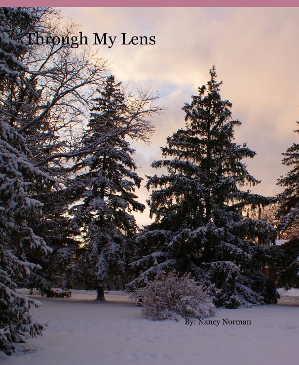 Ver Through My Lens por By: Nancy Norman