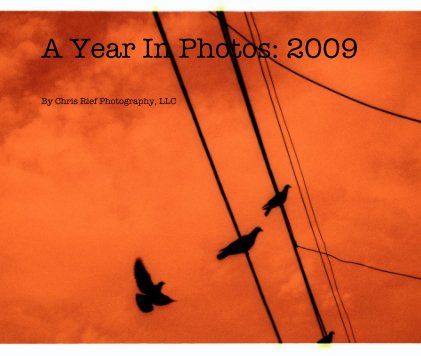 A Year In Photos: 2009 book cover