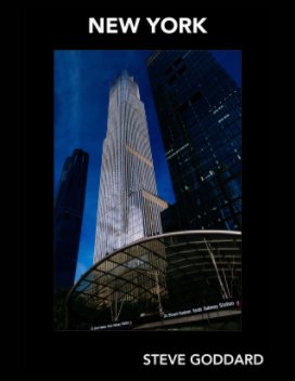 Goddard Gallery - New York book cover