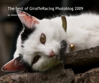 The Best of GiraffeRacing Photoblog 2009 book cover