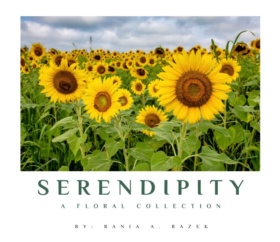 View Serendipity by Rania A. Razek